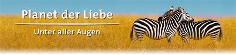 planet liebe|Planet der Liebe – fernsehserien.de.